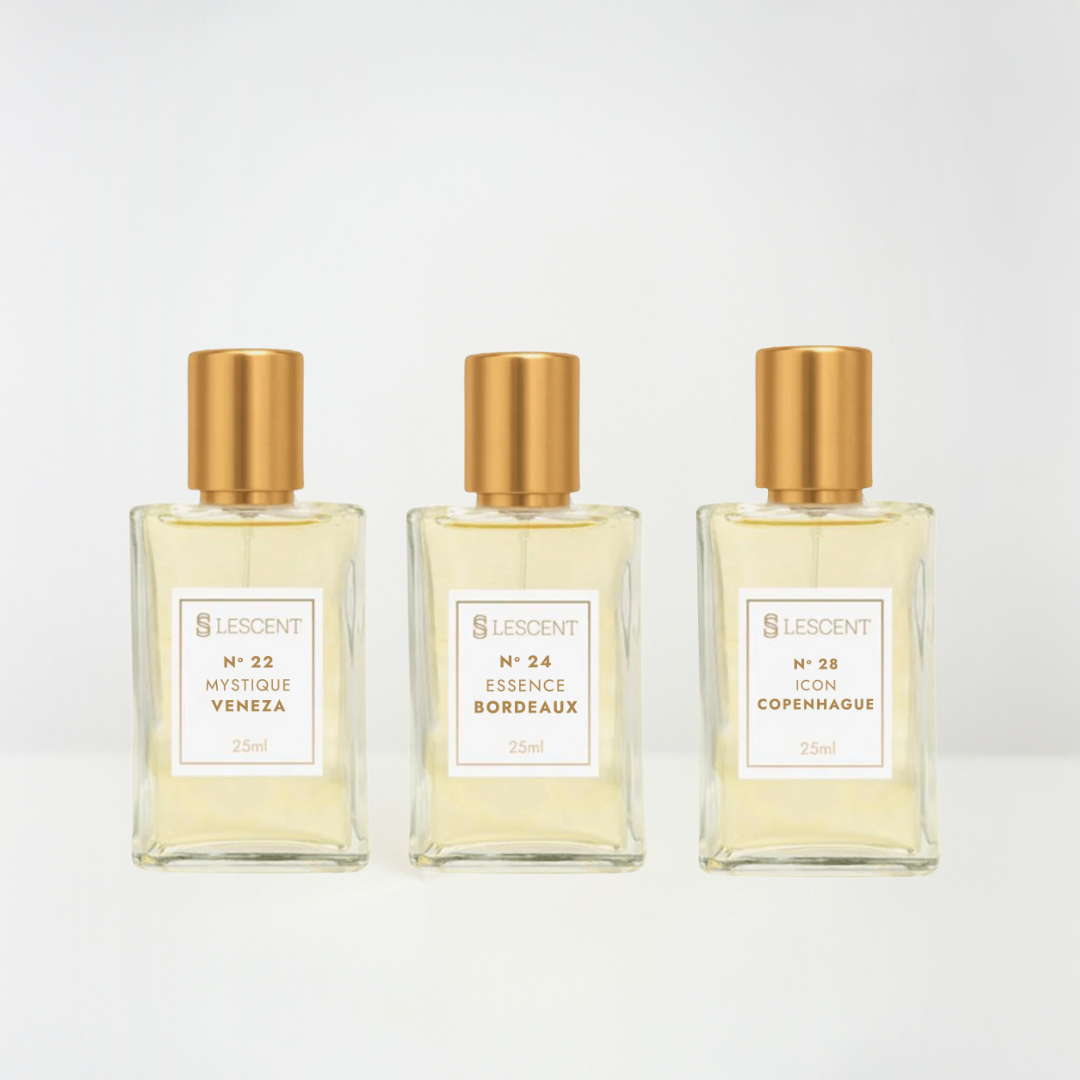 Kit Trilogia Hit Feminino Nº 22 + Nº 24 + Nº 28 | 25ml