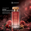 Belle Grasse - Linha Signature Elixir