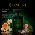 Cedar Pulse - Linha Nicho