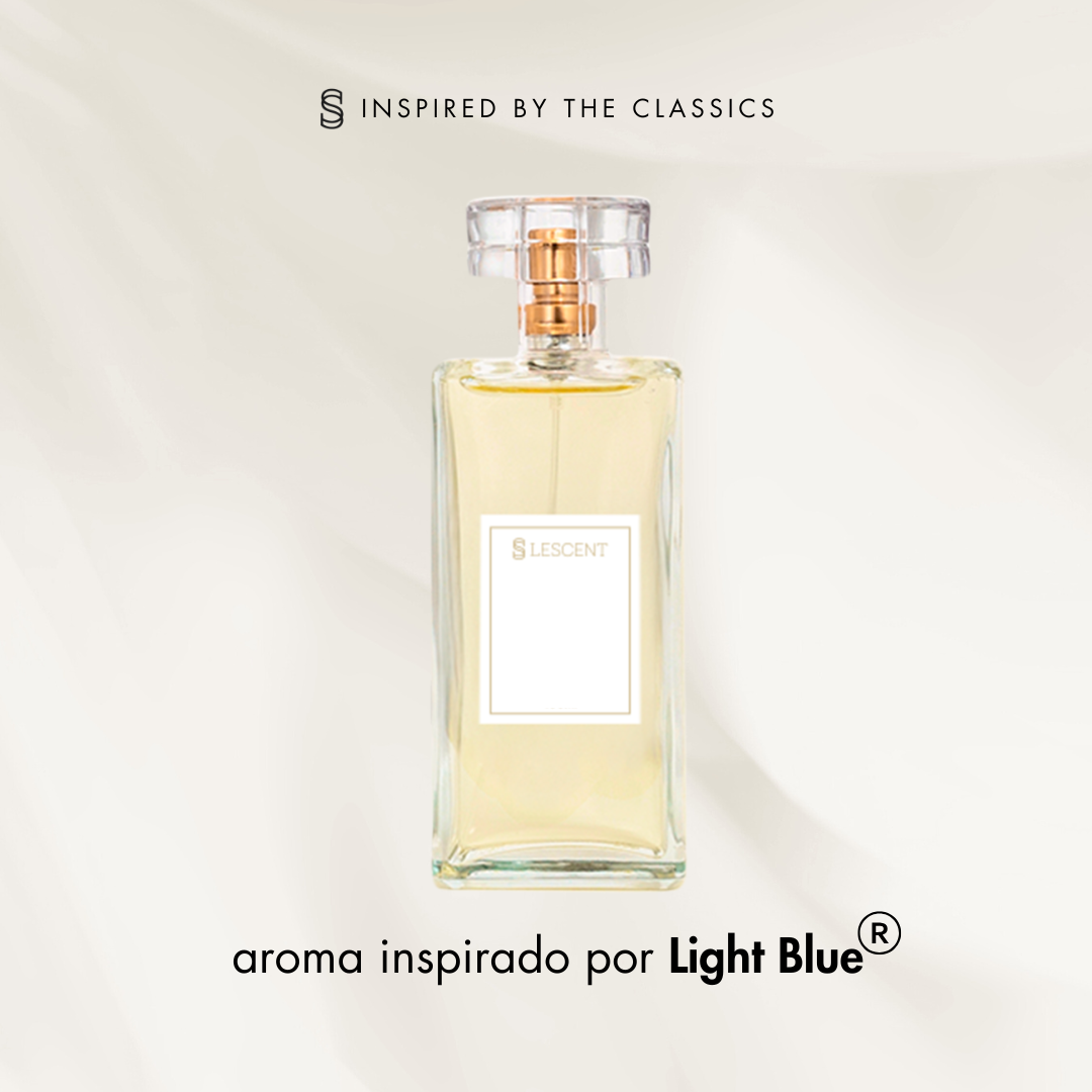 Nº 41 • OCEAN BREEZE