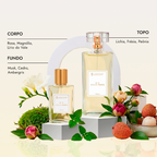 Kit Quarteto Clássicos Femininos Nº 5 + Nº 7 + Nº 9 + Nº 26 | 25ml