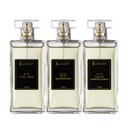 Kit Trilogia Marcante Nº 14 + Nº 12 + Nº 17 | 100ml