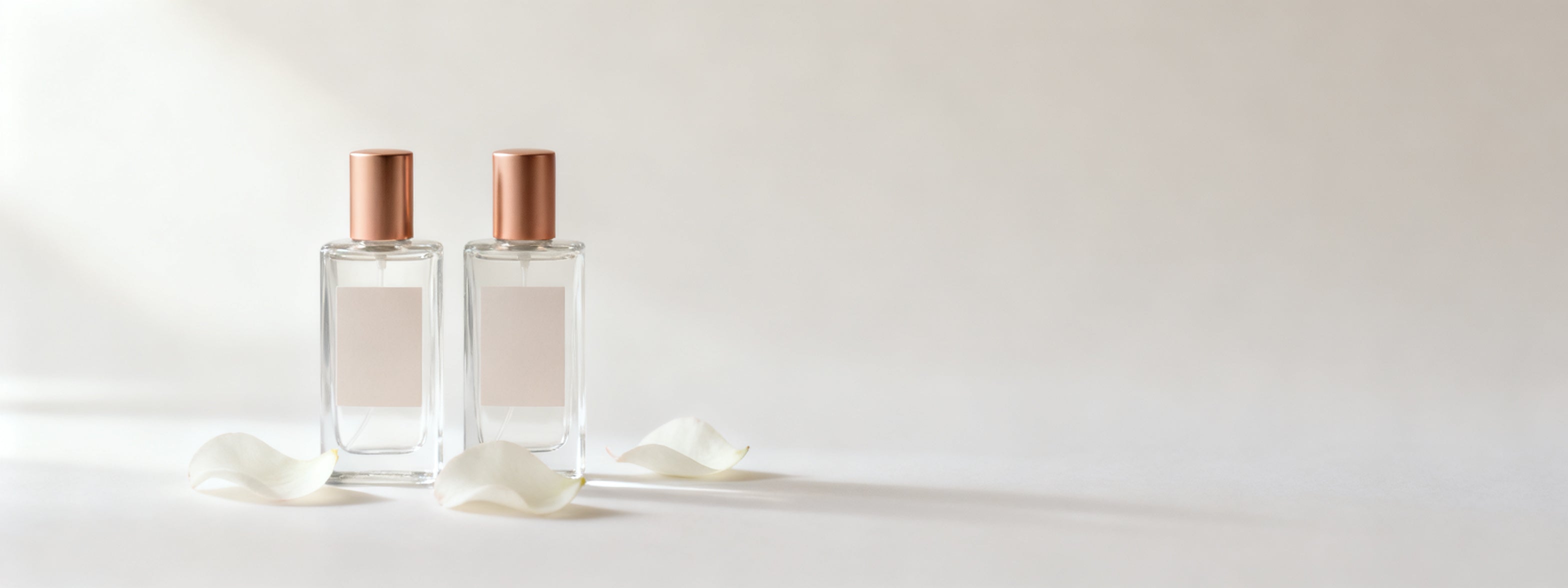 Dois frascos de perfume floral Lescent ao lado de petalas brancas sobre fundo off-white