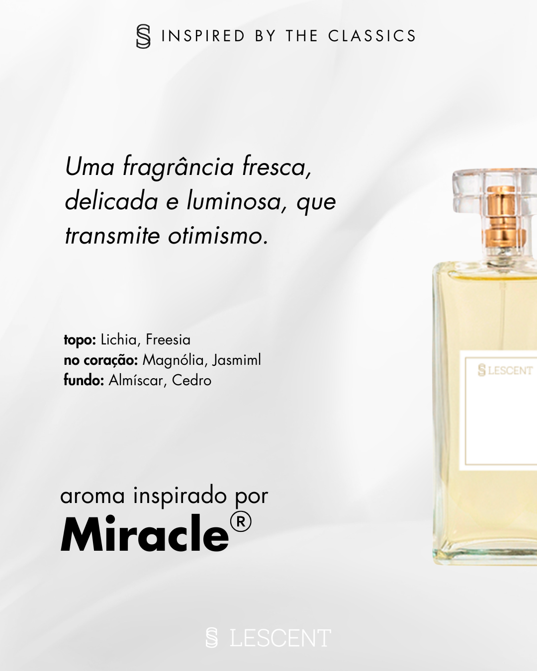 Nº 17 • RADIANT CHARM